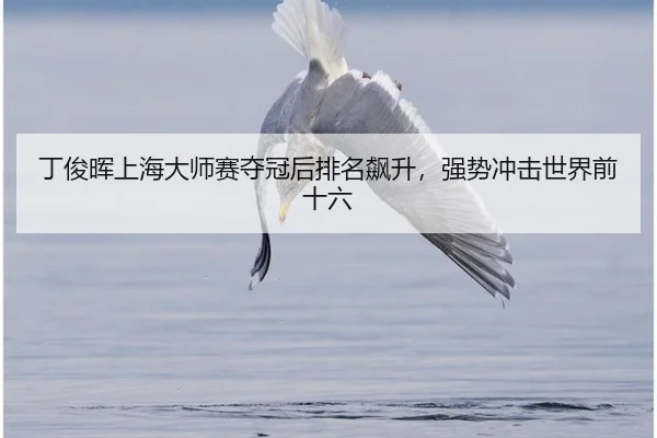 ding-jun-hui-shang-hai-da-shi-sai-duo-guan-hou-pai-ming-biao-sheng-qiang-shi-chong-ji-shi-jie-qian-shi-liu-2-869.jpg