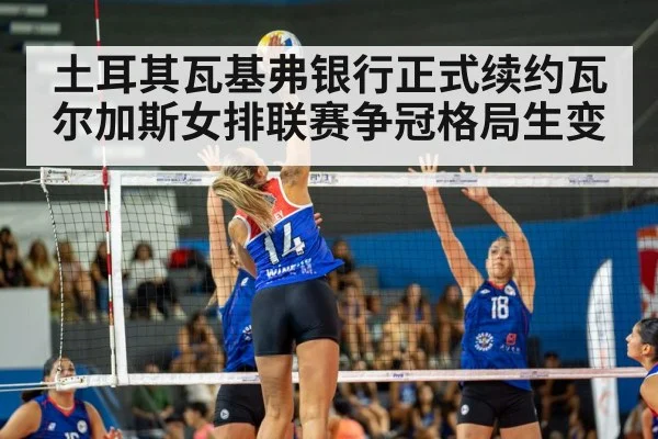 women's volleyball match